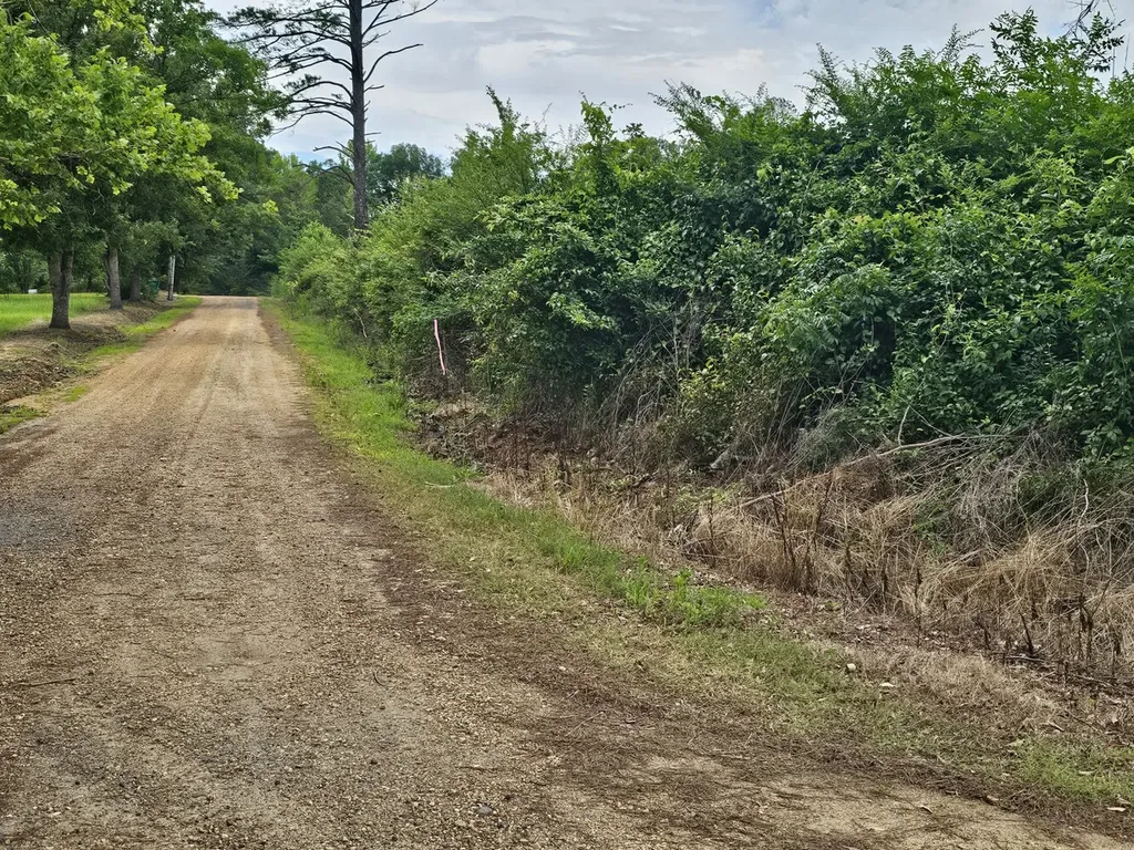 000Z Liberty Church Road Millport AL 35576