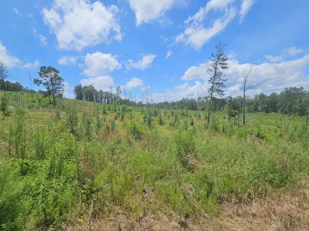 000Z Liberty Church Road Millport AL 35576
