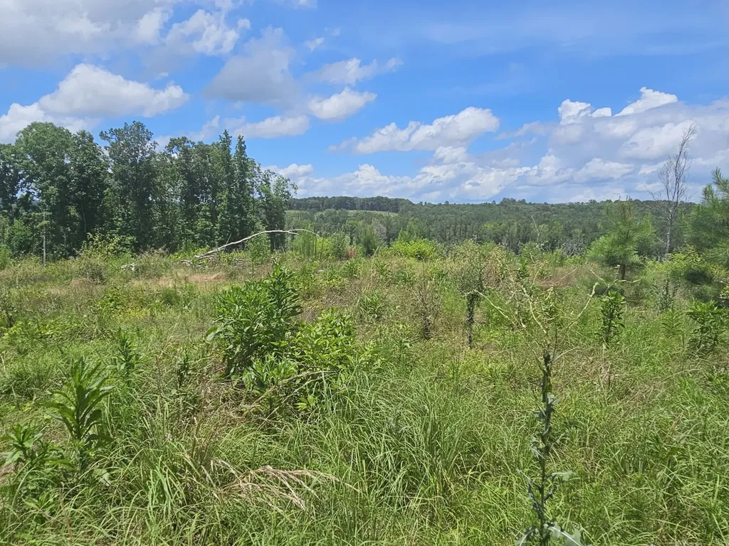 000Z Liberty Church Road Millport AL 35576