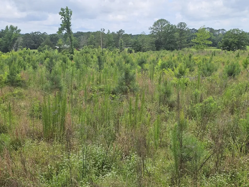000Z Liberty Church Road Millport AL 35576