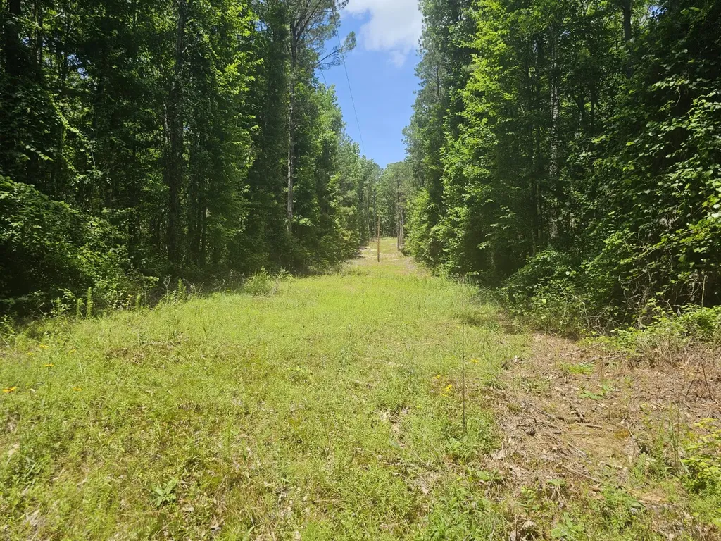 000Z Liberty Church Road Millport AL 35576