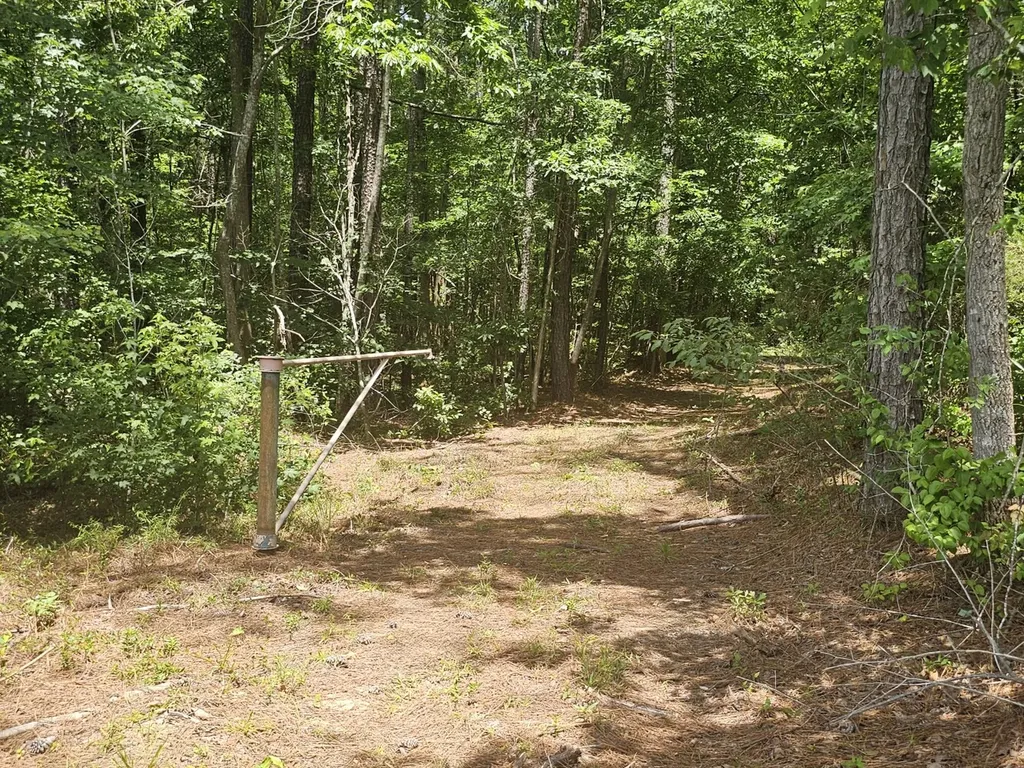 000Z Liberty Church Road Millport AL 35576