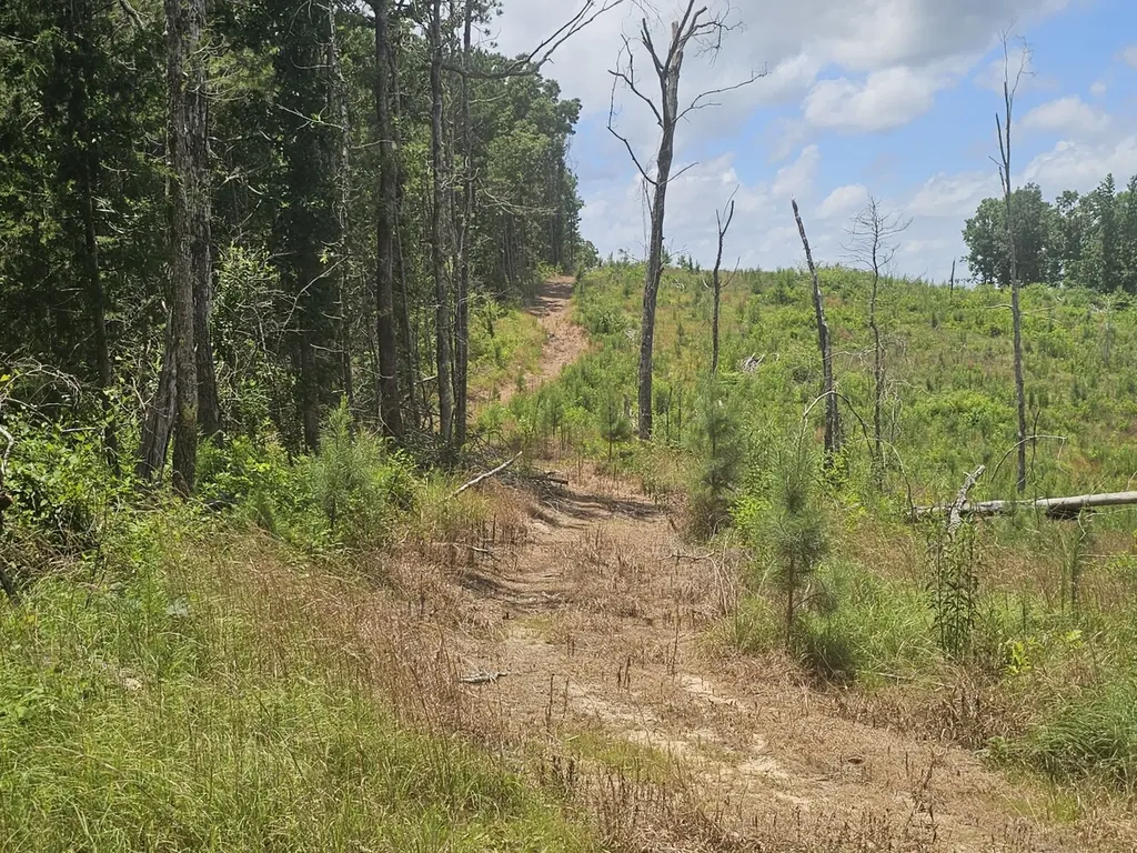 000Z Liberty Church Road Millport AL 35576