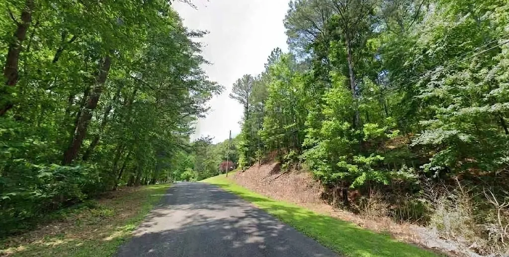 6121 Mountain Forest Drive Mccalla AL 35111