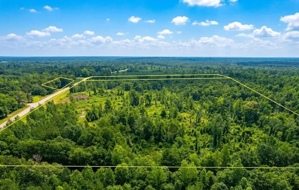 0 Highway 10 Pine Apple AL 36768