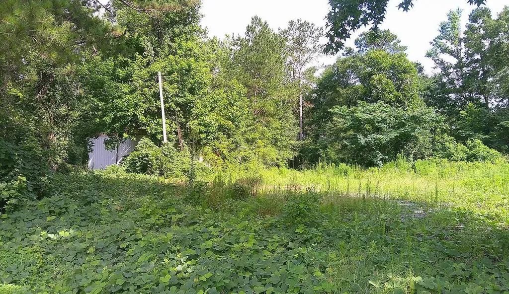 0 Highway 10 Pine Apple AL 36768