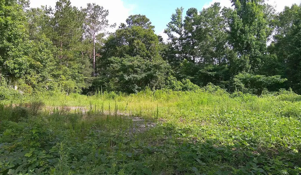 0 Highway 10 Pine Apple AL 36768