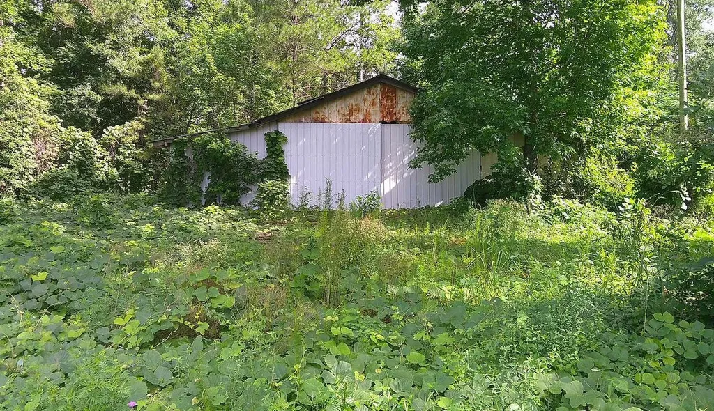 0 Highway 10 Pine Apple AL 36768