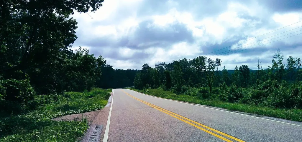 0 Highway 10 Pine Apple AL 36768