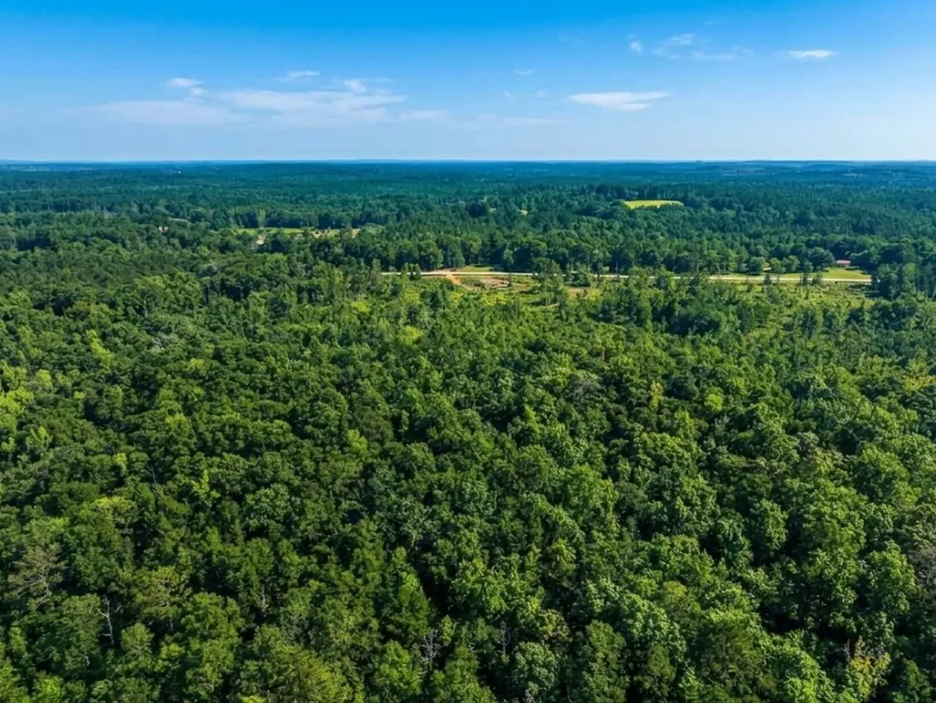 0 Highway 10 Pine Apple AL 36768