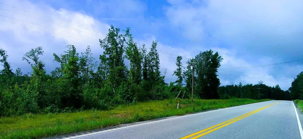 0 Highway 10 Pine Apple AL 36768