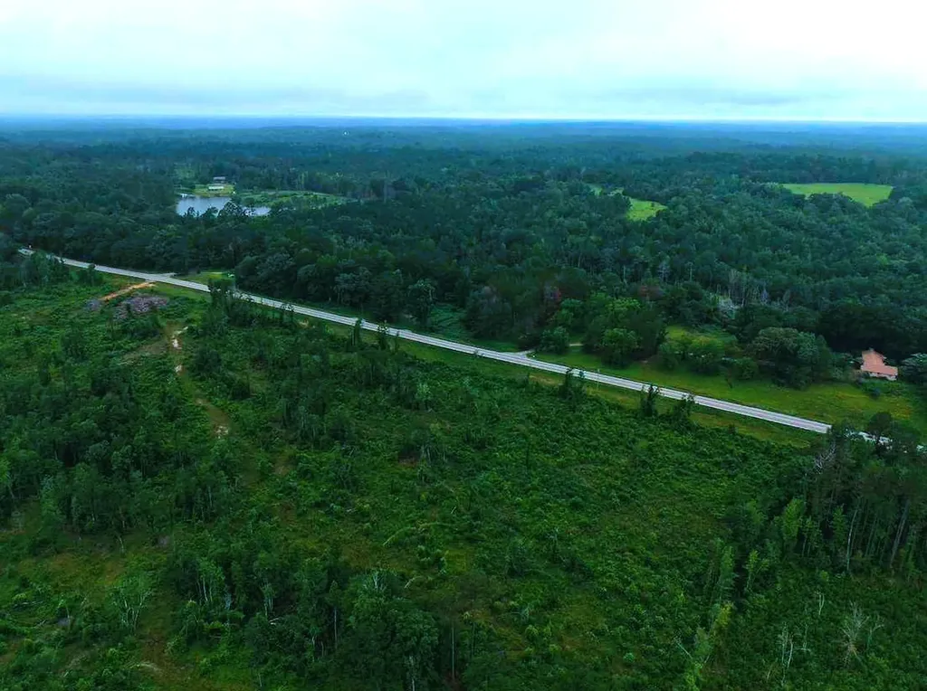 0 Highway 10 Pine Apple AL 36768
