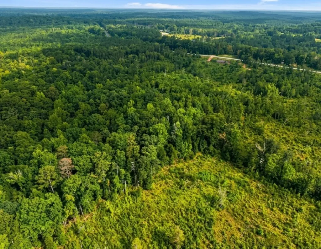 0 Highway 10 Pine Apple AL 36768