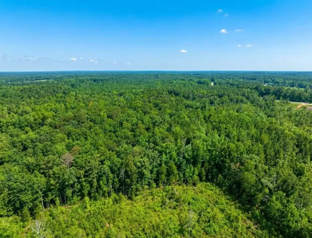 0 Highway 10 Pine Apple AL 36768