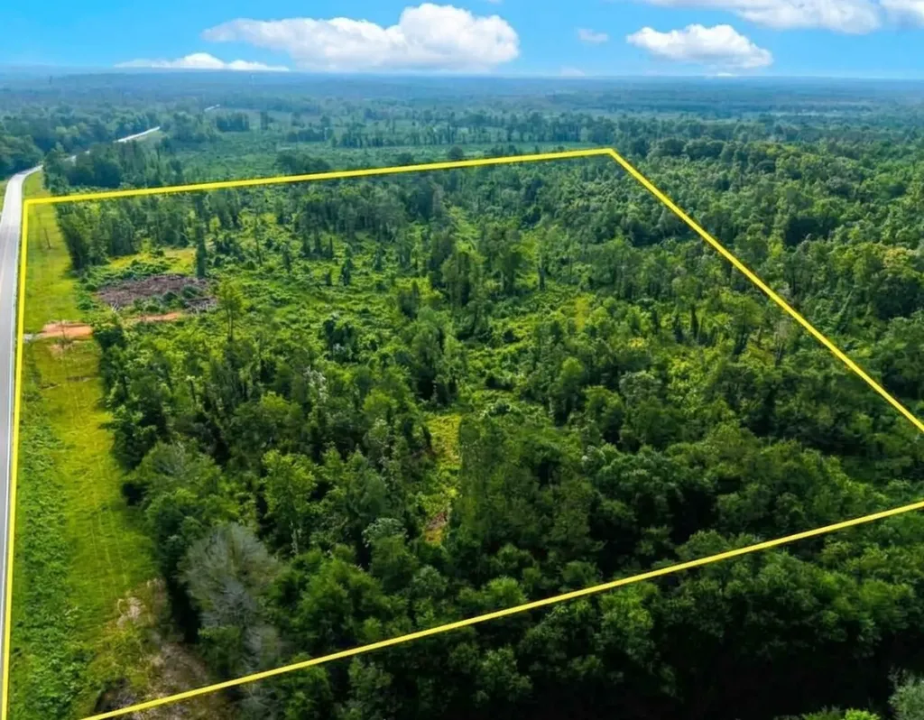 0 Highway 10 Pine Apple AL 36768