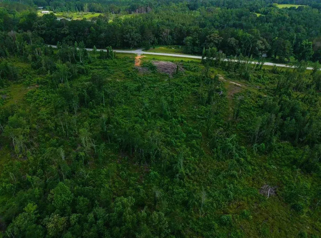 0 Highway 10 Pine Apple AL 36768