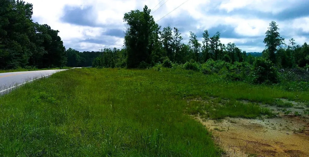 0 Highway 10 Pine Apple AL 36768
