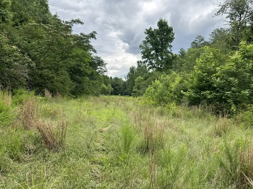 Co Highway 174 Winfield AL 35594
