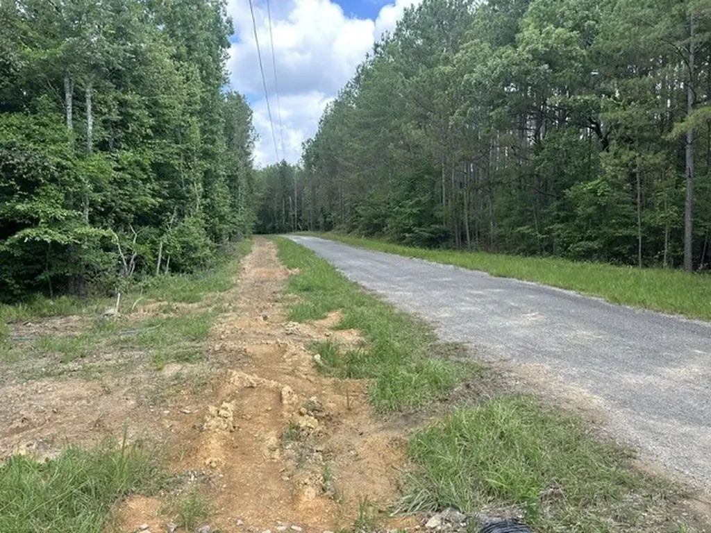 Co Highway 174 Winfield AL 35594
