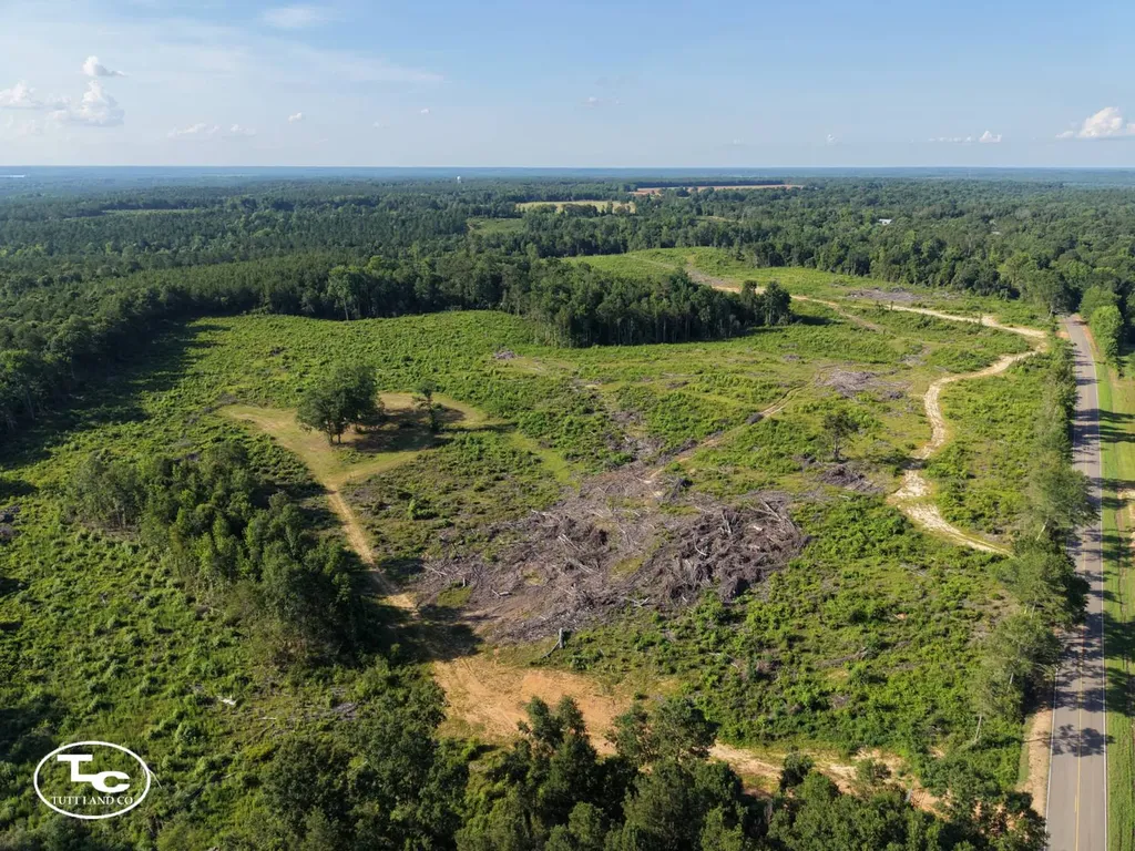 Tract #1- County Road 19 Camden AL 36726