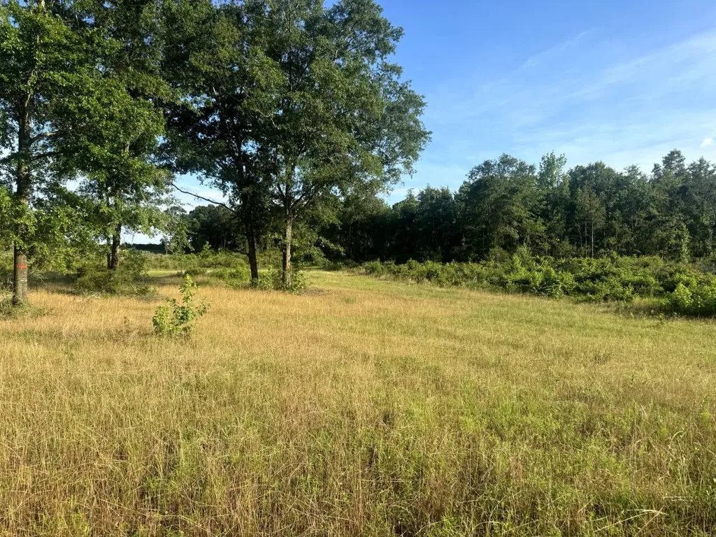 Tract #1- County Road 19 Camden AL 36726