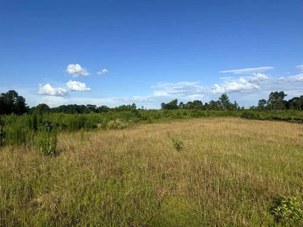 Tract #1- County Road 19 Camden AL 36726