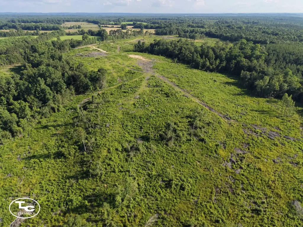 Tract #1- County Road 19 Camden AL 36726