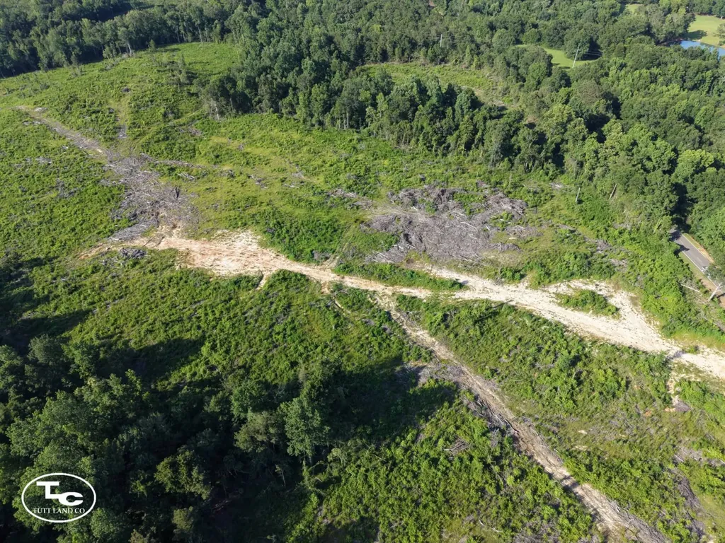 Tract #1- County Road 19 Camden AL 36726