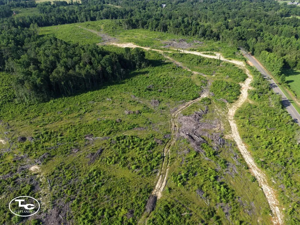 Tract #1- County Road 19 Camden AL 36726