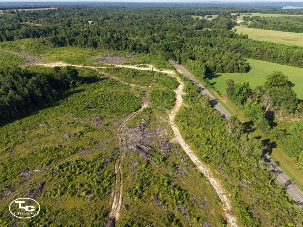 Tract #1- County Road 19 Camden AL 36726