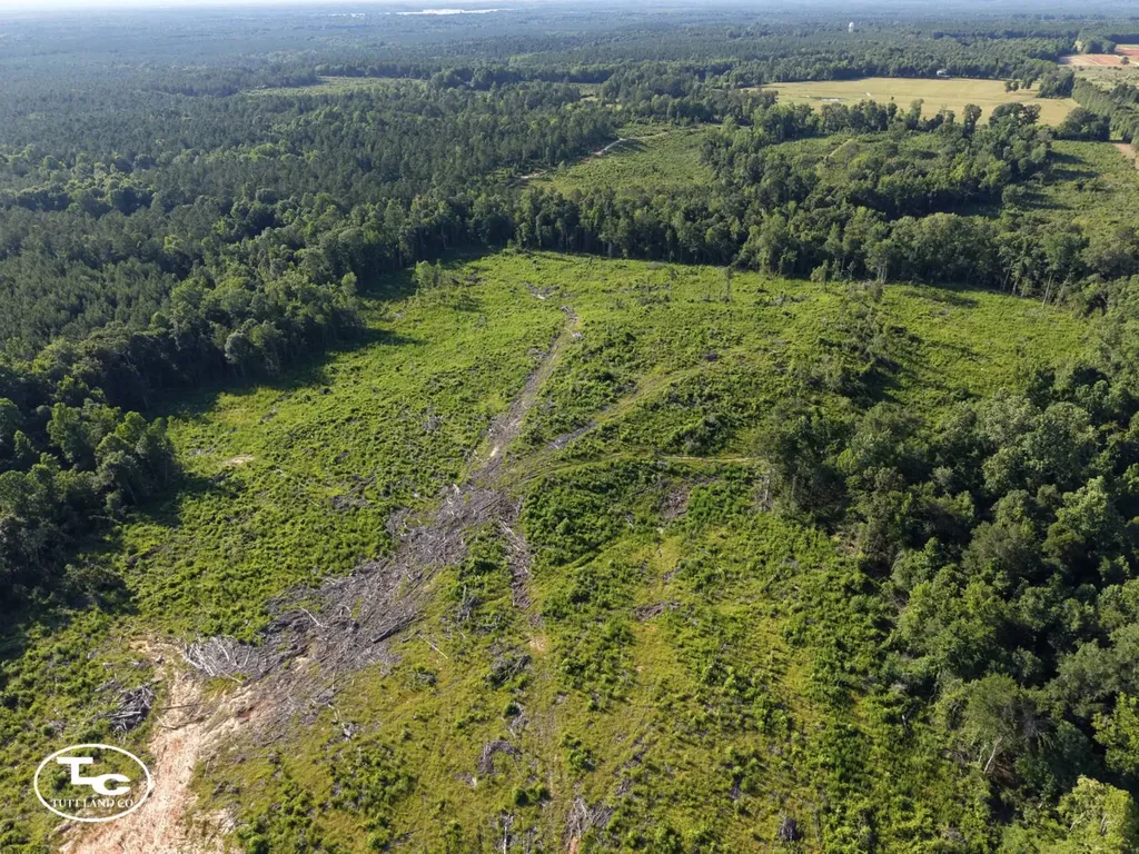 Tract #1- County Road 19 Camden AL 36726
