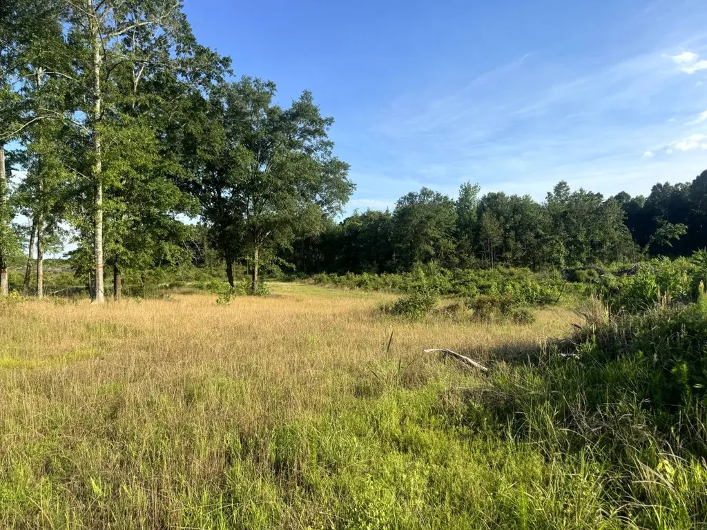 Tract #1- County Road 19 Camden AL 36726