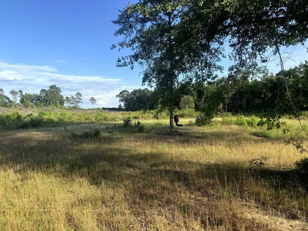 Tract #1- County Road 19 Camden AL 36726