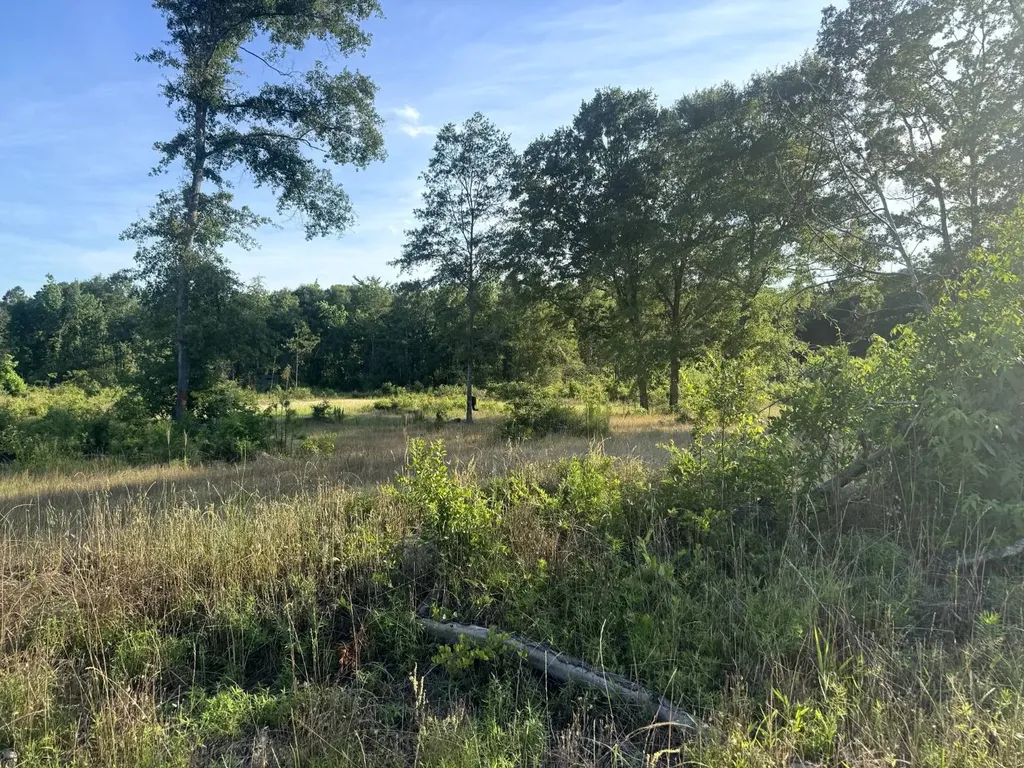 Tract #1- County Road 19 Camden AL 36726