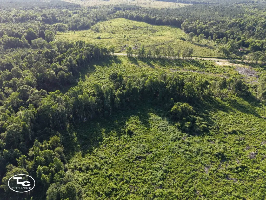 Tract #3- County Road 19 Camden AL 36726