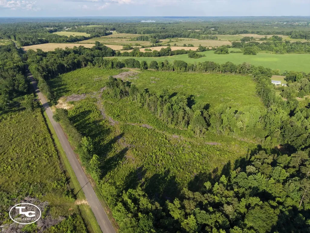 Tract #3- County Road 19 Camden AL 36726