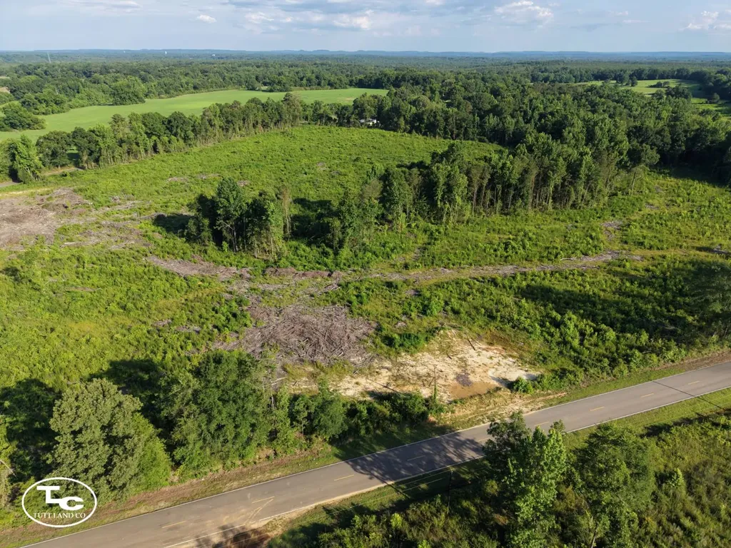 Tract #3- County Road 19 Camden AL 36726
