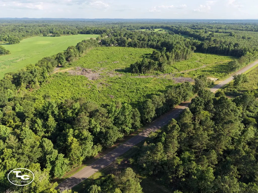 Tract #3- County Road 19 Camden AL 36726
