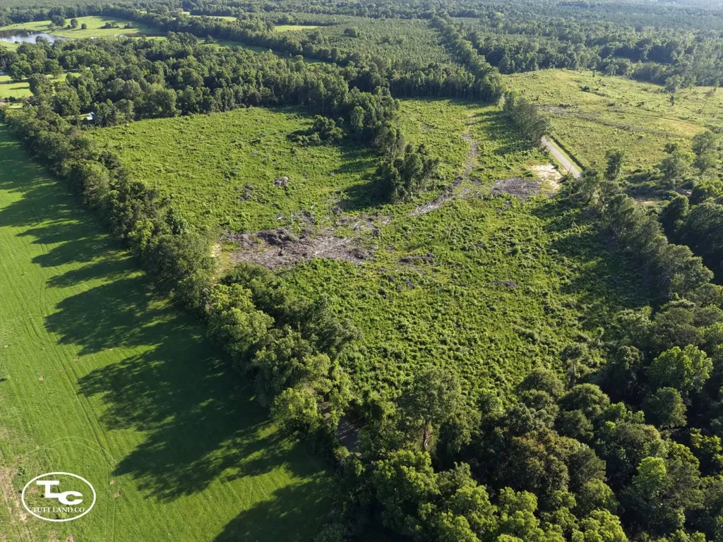 Tract #3- County Road 19 Camden AL 36726