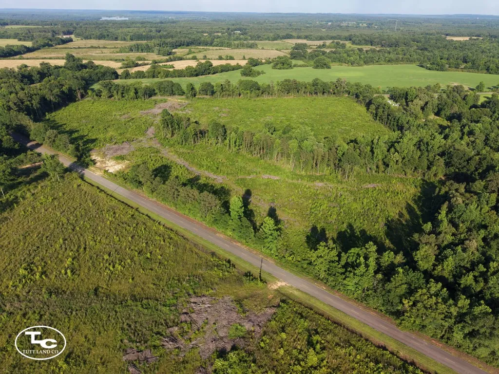 Tract #3- County Road 19 Camden AL 36726