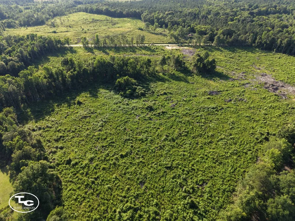 Tract #3- County Road 19 Camden AL 36726