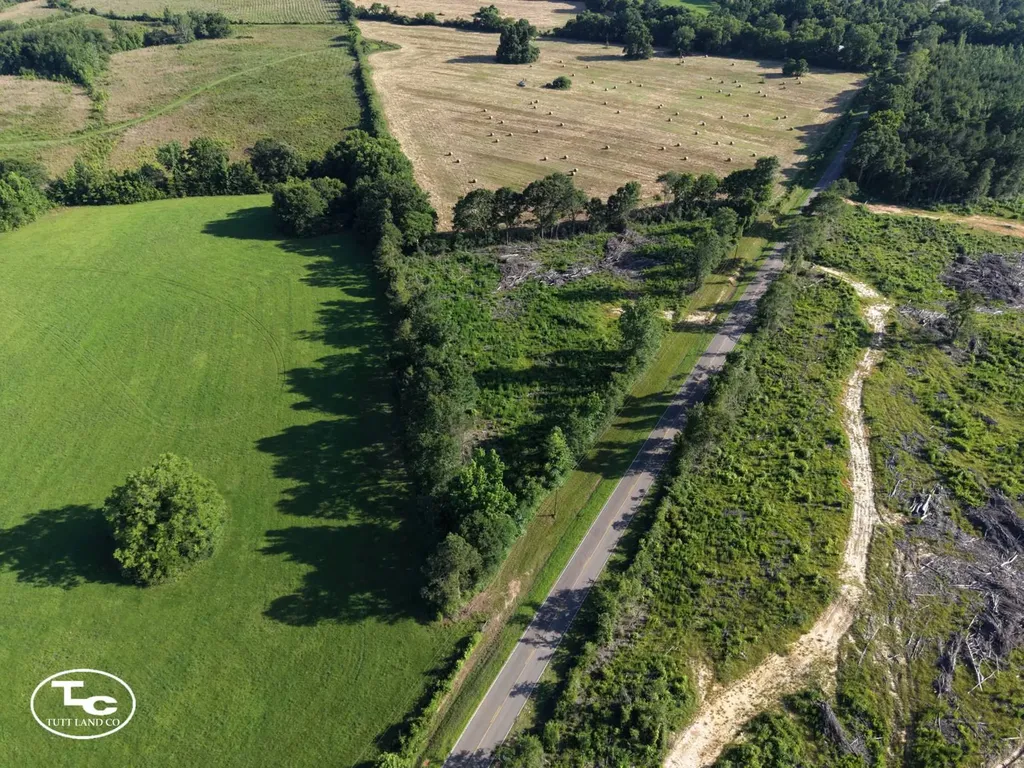 Tract #2- County Road 19 Camden AL 36726