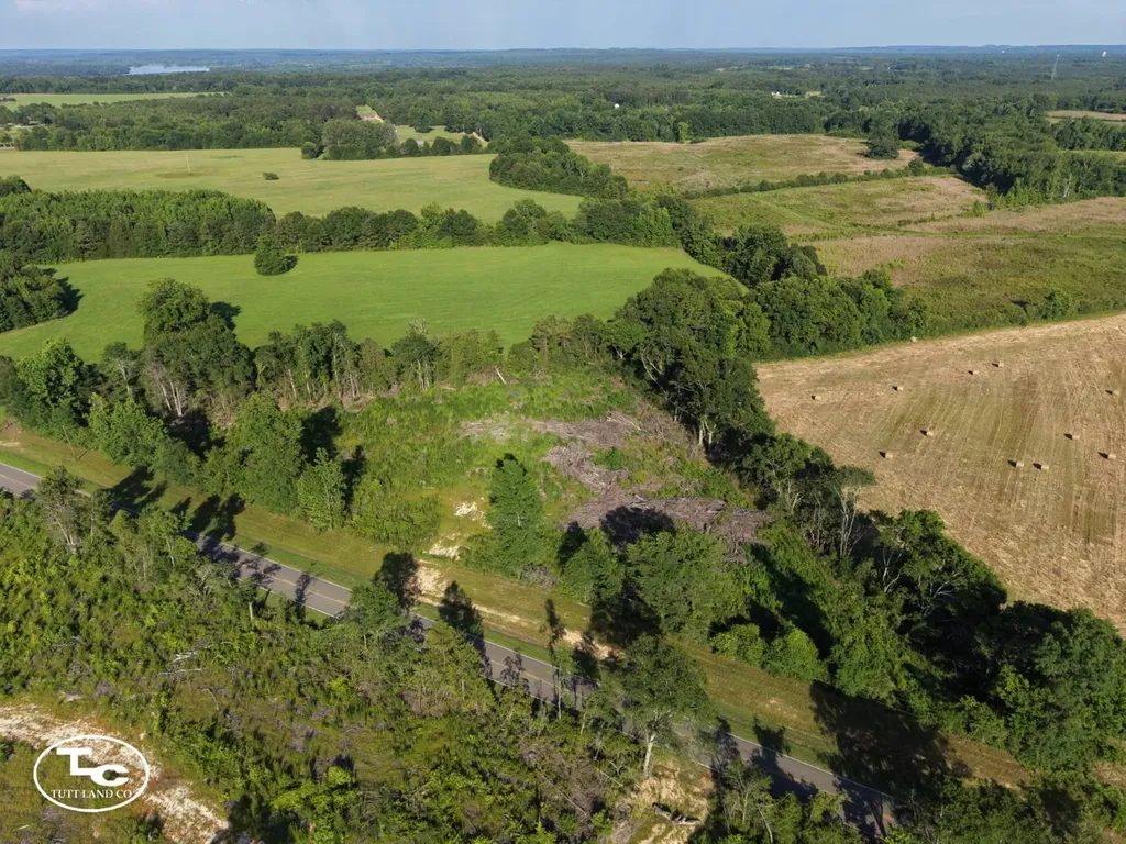 Tract #2- County Road 19 Camden AL 36726