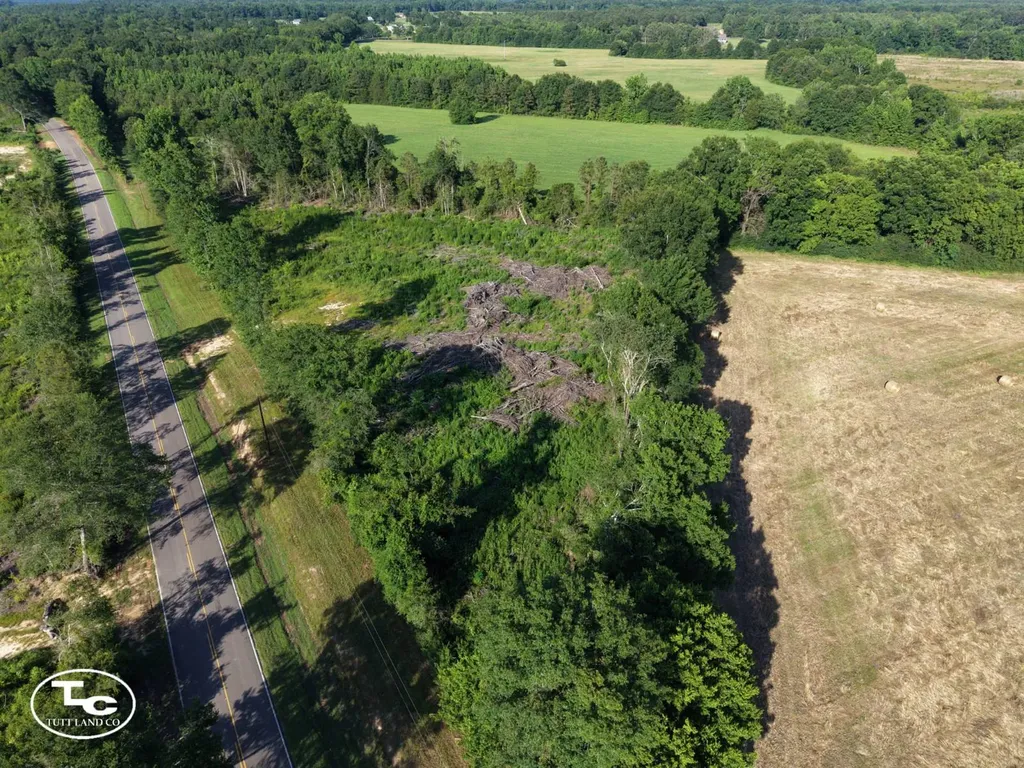 Tract #2- County Road 19 Camden AL 36726