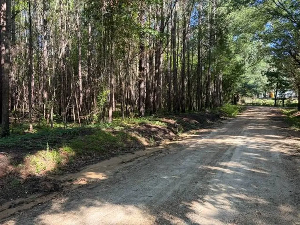 124 Hawkin Road Dozier AL 36028