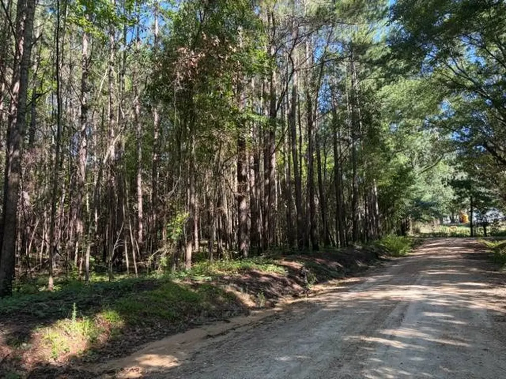 124 Hawkin Road Dozier AL 36028