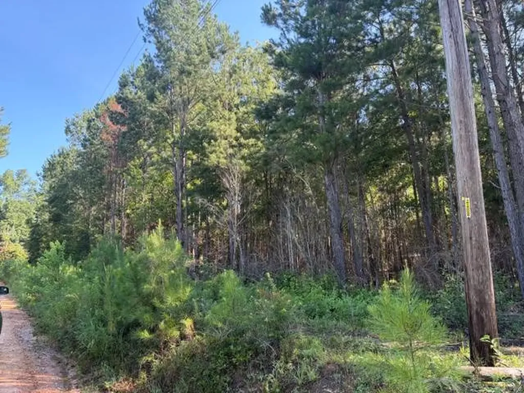 124 Hawkin Road Dozier AL 36028