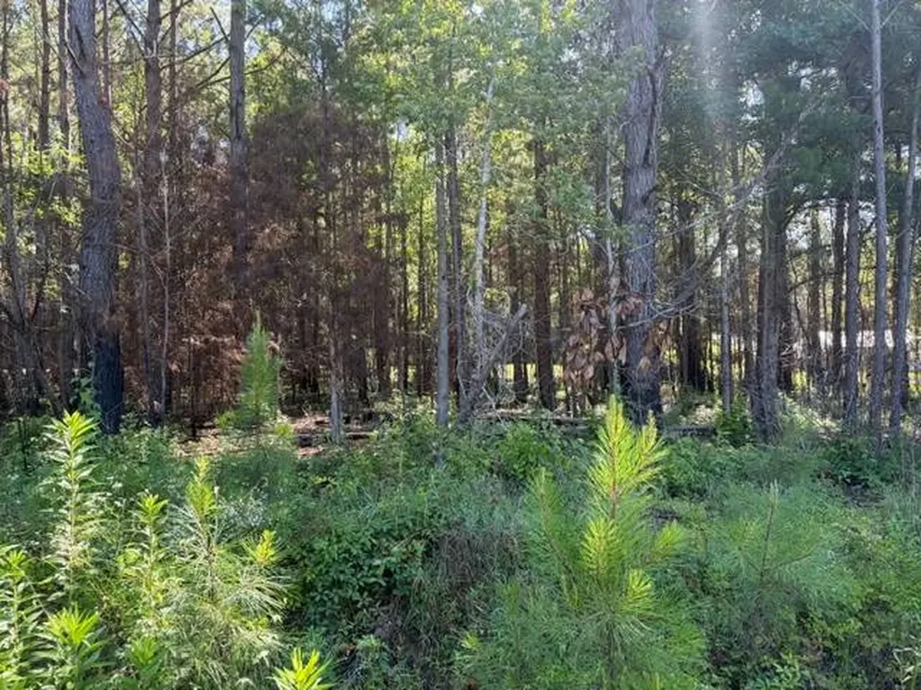 124 Hawkin Road Dozier AL 36028