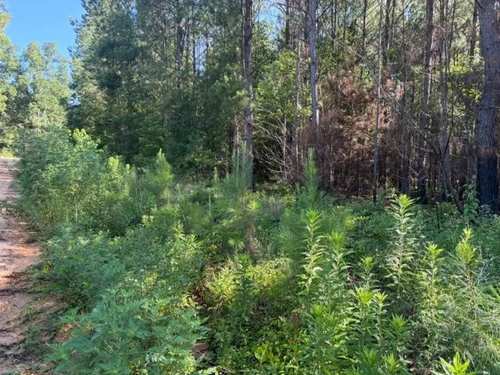 124 Hawkin Road Dozier AL 36028