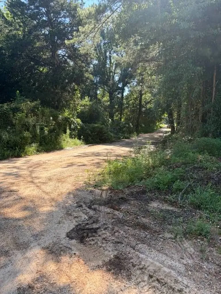 124 Hawkin Road Dozier AL 36028